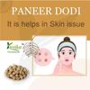 YUVIKA Paneer Dodi - Paneer Ke Phool - Withania Coagulan 250 Grams view 2
