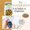 YUVIKA Paneer Dodi - Paneer Ke Phool - Withania Coagulan 250 Grams view 3