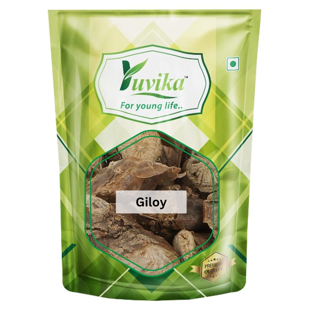 YUVIKA Giloy - Geeloh - Guduchi - Tinospora Cordifolia 100 Grams