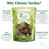 YUVIKA Giloy - Geeloh - Guduchi - Tinospora Cordifolia 100 Grams view 4