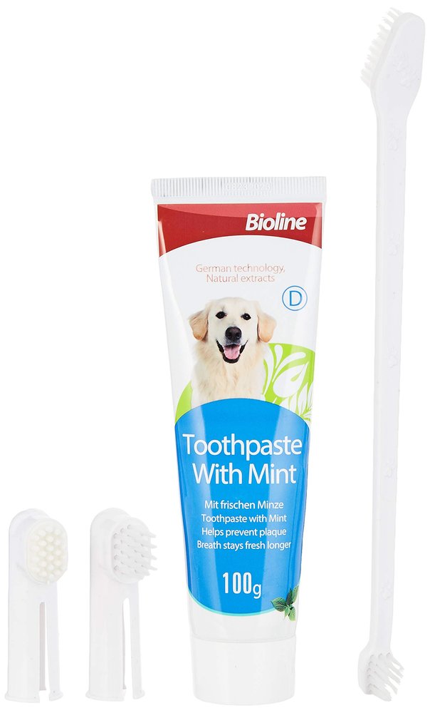 Bioline Dental Hygiene Set with Mint Flavour 100g, Natural & Organic Dental Toothpaste Improves hygiene in the Mouth, Prevents Bacteria, Removes plaque, and harmless- 100g