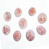 Reiki Crystal Products Rose Quartz Karuna Reiki Set 9 pc Pink Crystal Set for Reiki Healing view 2