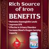 Planet Ayurveda Punarnava Mandur Tablets - 120 Tablets (Pack of 2), Ayurvedic Medicine for Kidney Health Function view 2
