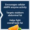 Life Extension, AMPK Metabolic Activator, 30 Vegetarian Tablets view 4
