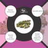 Herb Essential Guduchi/Giloy Powder | Immunity Booster | 50 g view 2