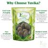 Yuvika Karanjwa - Sagar Goti - Pongamia Pinnata - Caesalpinia Bonducella - Fever Nuts 100 Grams view 4