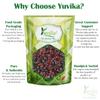 Yuvika Kamarkas - Gond Chunia - Butea Frondosa 200 Grams view 3
