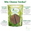 YUVIKA Ushara Revan - Rheum Emodi - Indian Rhubarb Extract 200 Grams view 3