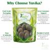 Yuvika Karanjwa - Sagar Goti - Pongamia Pinnata - Caesalpinia Bonducella - Fever Nuts 400 Grams view 3
