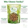YUVIKA Indrajau Meetha - Inderjoo Metha - Wrightia Tinctoria 200 Grams view 3