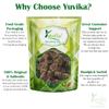 YUVIKA Tagarganth - Mushkbala - Sugandhabala - Valeriana Wallichii 200 Grams view 3
