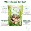 YUVIKA Kapoor Kachri - Kapur Kachri - Ekangi - Hedychium Spicatum - Spiked Ginger Lily 200 Grams view 3