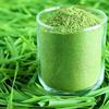 S Siddhagiri's SATVYK THE HEALTH re STORE Natural Ayurvedic Powder - 100gms (Wheatgrass Powder) view 4