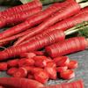 Jioo Organics Edible Carrot Seeds Gajar K Beej Vegetable Seed For Eating Skin Health Immunity Benefits Pack of 1 (100 Gram) view 3