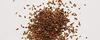 Jioo Organics Edible Carrot Seeds Gajar K Beej Vegetable Seed For Eating Skin Health Immunity Benefits Pack of 1 (100 Gram) view 4