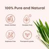Aromazeia Lemongrass Essential Oil | Exotic Aroma Diffuser Oil | Ideal For Aromatherapy & Meditation | Organic Essential Oil | Undiluted, Therapeutic Grade & Steam Distilled - 10ml view 2