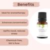 Aromazeia Lemongrass Essential Oil | Exotic Aroma Diffuser Oil | Ideal For Aromatherapy & Meditation | Organic Essential Oil | Undiluted, Therapeutic Grade & Steam Distilled - 10ml view 3