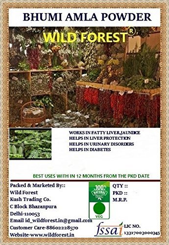 WILD FOREST BHUMI AMLA (Phyllanthus Niruri) POWDER 100 GM