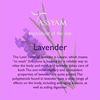 Tassyam Lush Lavender Buds Herbal Tea 50g | Premium Tisanes view 2