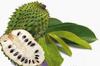 Alavi Soursop/Graviola 240 Dry Leaves With Stem Powder (PACK OF 2) view 3