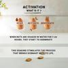 Dhatu Organics Activated Almond Butter 175g | Rich & Creamy | Vitamin E | Pre-soaked | Keto Friendly | Improved Digestion & Nutrient Assimilation | Unsweetened | Stoneground view 2