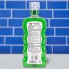 ACT Kids Anticavity Fluoride Rinse, Wild Watermelon, 16.9 Ounce (Pack of 3) view 2