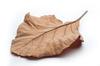 BSD Organics Dried Teak leaves for food wrapper & more - 400 gms view 2