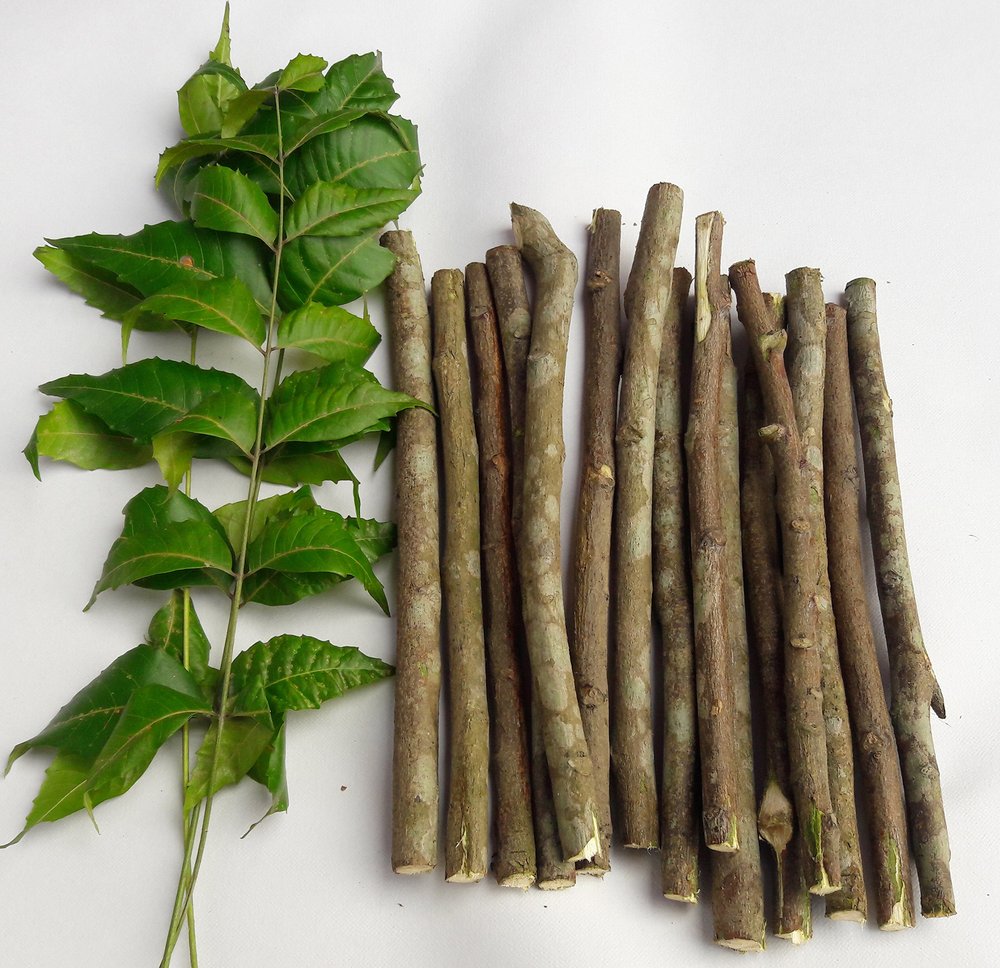 Alekip Pure-Organic Neem chew sticks/Datun for healty teeth and gums- 15 sticks