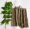 Alekip Pure-Organic Neem chew sticks/Datun for healty teeth and gums- 15 sticks view 1