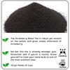 Radhikas Fine Teas and Whatnots Radiance Lanka Strawberry Tea Strawberry Black Tea Vacuum Pack, 50 gm - Makes 25 Cups of Tea view 2