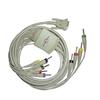 10 Lead ECG Cable Compatible with RMS 4mm 15 pin banana type view 1