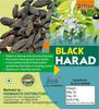 Pmw - Jar Pack - Black Karakkaya - Kali Harad - Aralu - Inknut - Haritaki - Kadukkai - Harar - Terminalia Chebula - 500 Grams view 4
