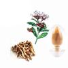 Pmw - Sarpagandha - Rauvolfia Serpentina - Snakeroot - 100 Gm Powder view 2