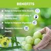 Herbal Hills Amla Powder, (1 Kg Pack) | Supports Skin Glow, Hair Strength & Immunity Boost | Amla Churna For Natural Beauty & Wellness with Indian Gooseberry Fruit Pack of 2 view 4