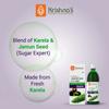 Krishna's Karela Jamun Mix Juice - 1000 ml | Fresh Karela & Jamun Seed | Ayurevedic Formulation to maintain Sugar Level | Enriched with Vitamin C - Vitamin A| Sugar free Juice with No Added Color or Flavour view 2