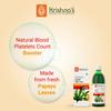 Krishna's Papaya Leaf Juice - 500 ml | Fresh Papaya Leaves| Helps to boost platelets count view 2