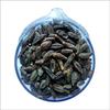 Haritaki | Kadukkai | Karakkaya | Choti Harad | Harde | Kali Harad | Black myrobalan (100 Gram) view 2