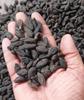 Haritaki | Kadukkai | Karakkaya | Choti Harad | Harde | Kali Harad | Black myrobalan (100 Gram) view 3