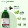 Krishna's Diabic Care Juice - 1000 ml | Blend of 11 herbs Methi, Amla, Karela, Jamun, Kutki, Guduchi & 5 other herbs to manage sugar levels | Made in India view 3