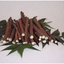 BSD Organics Natural Neem Sticks - 5 sticks