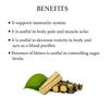 Bixa Botanical Guduchi/Giloy Extract with 2.5% Bitters | 60 Veg Capsules (450mg) | Useful In Immunity Wellness | Overall Body Pain & Anti-Inflammation Supplement view 4