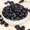 Shudh Online Black Kaunch beej, Konch Seed, Kala Koch ke beej (100 Grams), Alkushi, Kauch, Mucuna Pruriens, Velvet Beans, Kapikachhu, Cowitch, Cowhage view 3