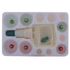 ACP ACUPRESSURE Vacuum Cupping Therapy Set Gold (12 Cups) Traditional Chinese Madicine view 1