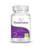 Natures Velvet Lifecare Punarnava Pure extract 500 mg 60 Capsules pack of 1 view 1