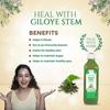 Jeevanras Giloy Juice - 500ml | Detoxifies and Rejuvenates Body | Ayurvedic Health Juice for Immunity | Improves Digestion and Boost Metabolism | Good for Liver & Skin Health view 3