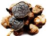 Aaswad Black Garlic (200 g) Multi Clove. No preservative, Aged 60-90 days view 2