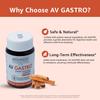 Amsarveda AV GASTRO Capsules - Gastro-intestinal disorders view 2