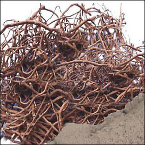 Pmw - Pippali Mool - Pippalimool - Pippalimul - Piper Longum - Long Pepper Root - Raw Herb - Modi - 500 Grams - Loose Packed