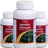 Tansukh Kalmegh Powder Churna | Ayurvedic Herbal Powder - Made In India Product | Pack of 3-100 Gm X 3 = 300 Gm view 1
