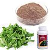 Tansukh Kalmegh Powder Churna | Ayurvedic Herbal Powder - Made In India Product | Pack of 3-100 Gm X 3 = 300 Gm view 2